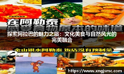 xk体育官网