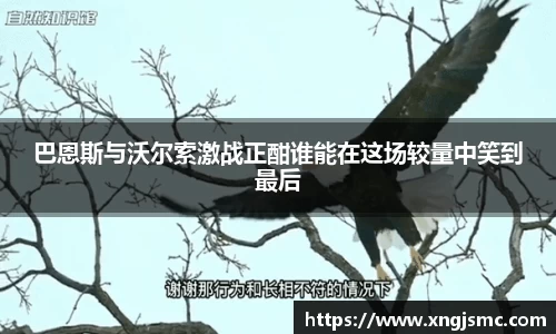 xk体育官网