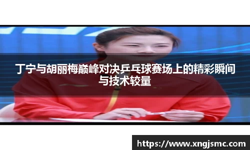 丁宁与胡丽梅巅峰对决乒乓球赛场上的精彩瞬间与技术较量